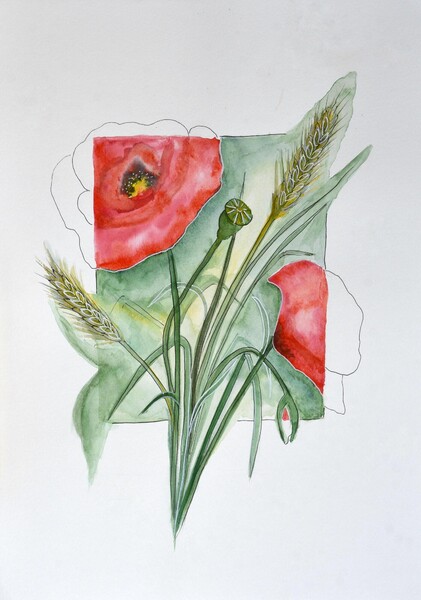 Red Poppies, Vlčí máky (2019)